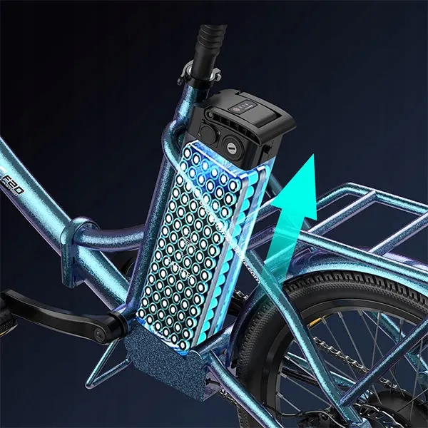 Moteur 250W du vélo électrique FAFREES F20 Lasting
