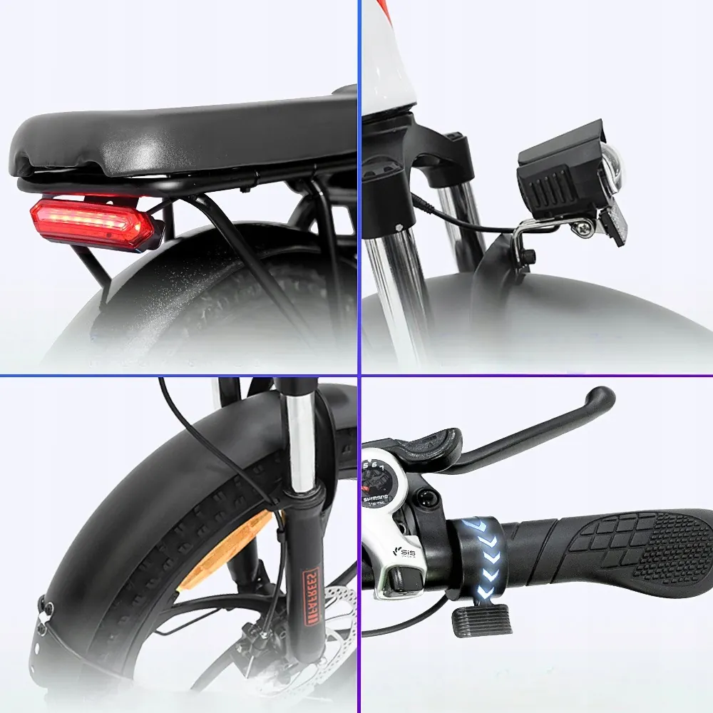 FAFREES F20 Vélo Électrique Pliant Fat Tire image 6