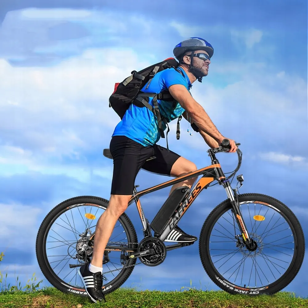 Vélo électrique FAFREES Hailong One 26 pouces, utilisateur de 160 à 195 cm