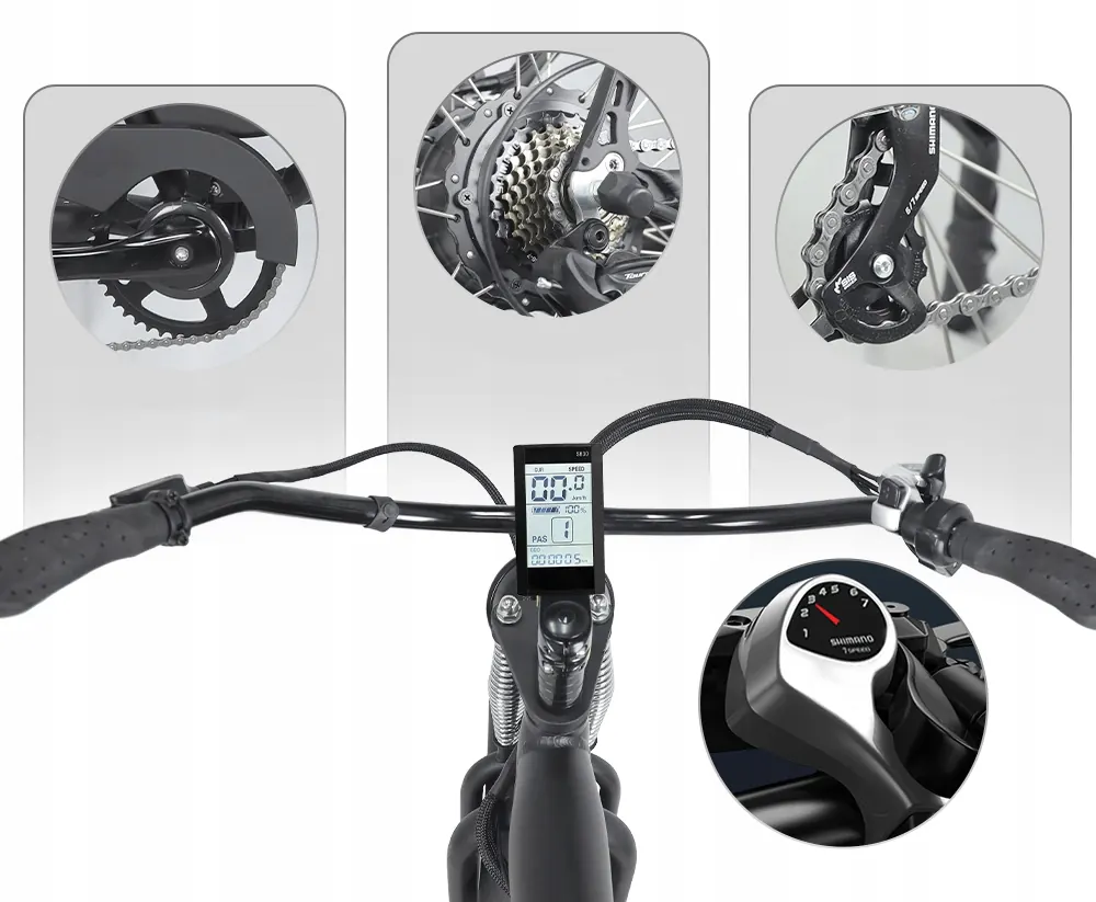 HIDOES B3 Vélo Électrique Fat Tire image 12
