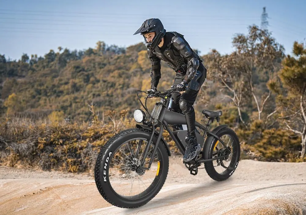 Vélo électrique HIDOES B3 Fat Tire 26 pouces noir, vue d'ensemble