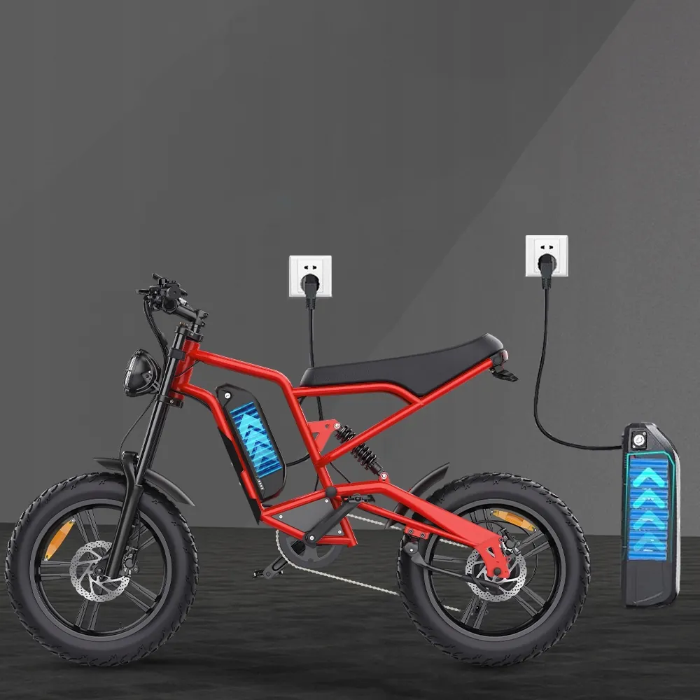 Vélo électrique Hidoes B6 1200W, cadre 20 pouces, freins hydrauliques