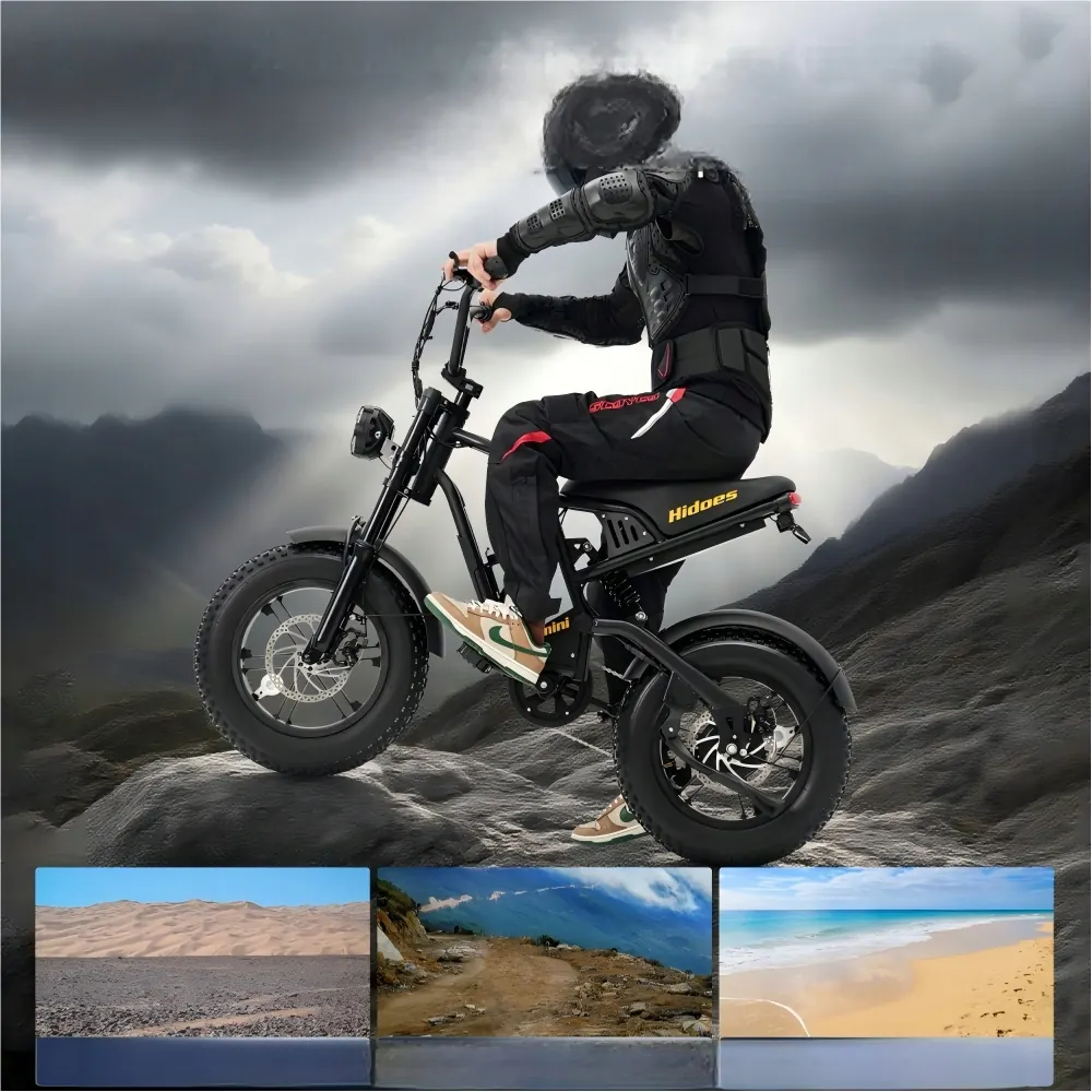 HIDOES B6MINI Vélo Électrique Tout-Terrain image 9