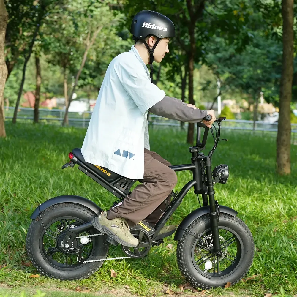 Vélo électrique Hidoes B6MINI 500W avec batterie 48V10.4AH et pneus 16x4.0