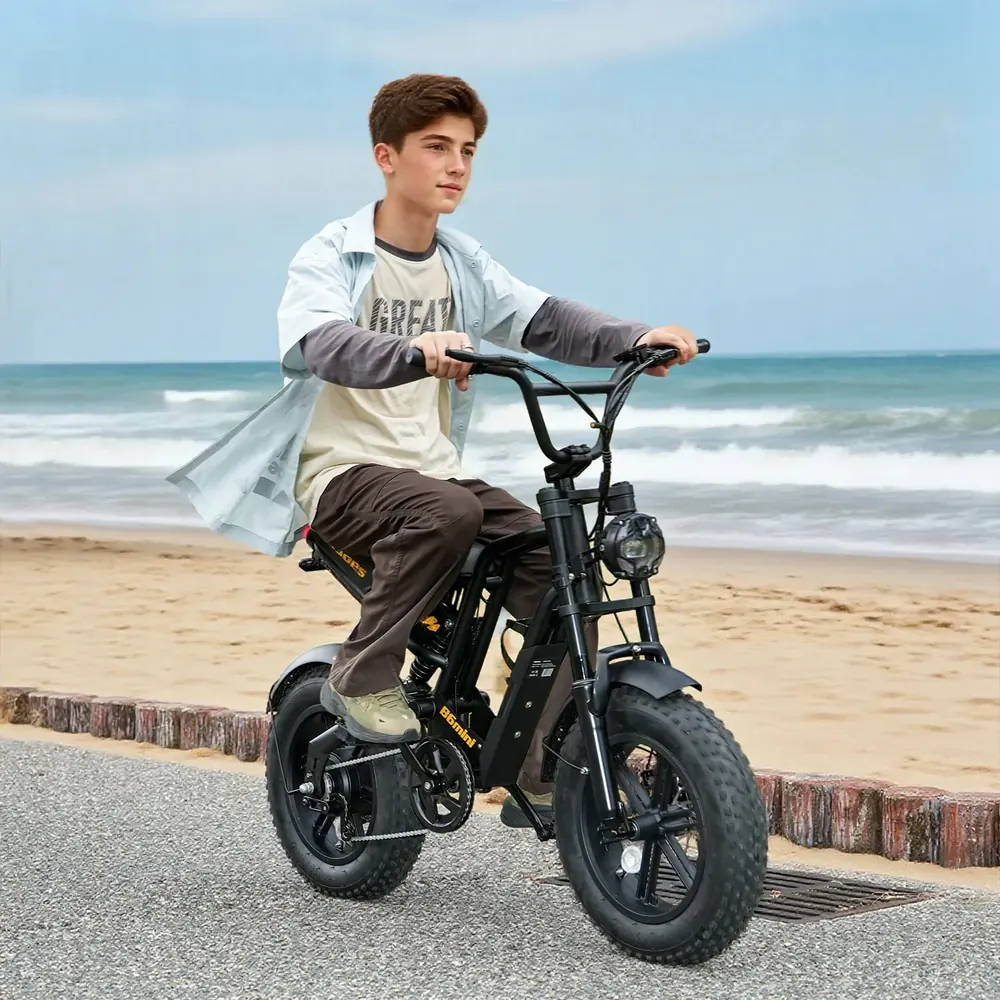 Hidoes B6MINI dans son emballage d'origine, vélo électrique 500W