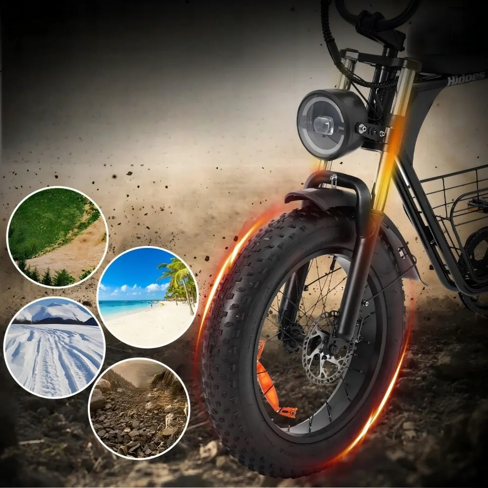 HIDOES B9 Fat Tire Électrique image 12