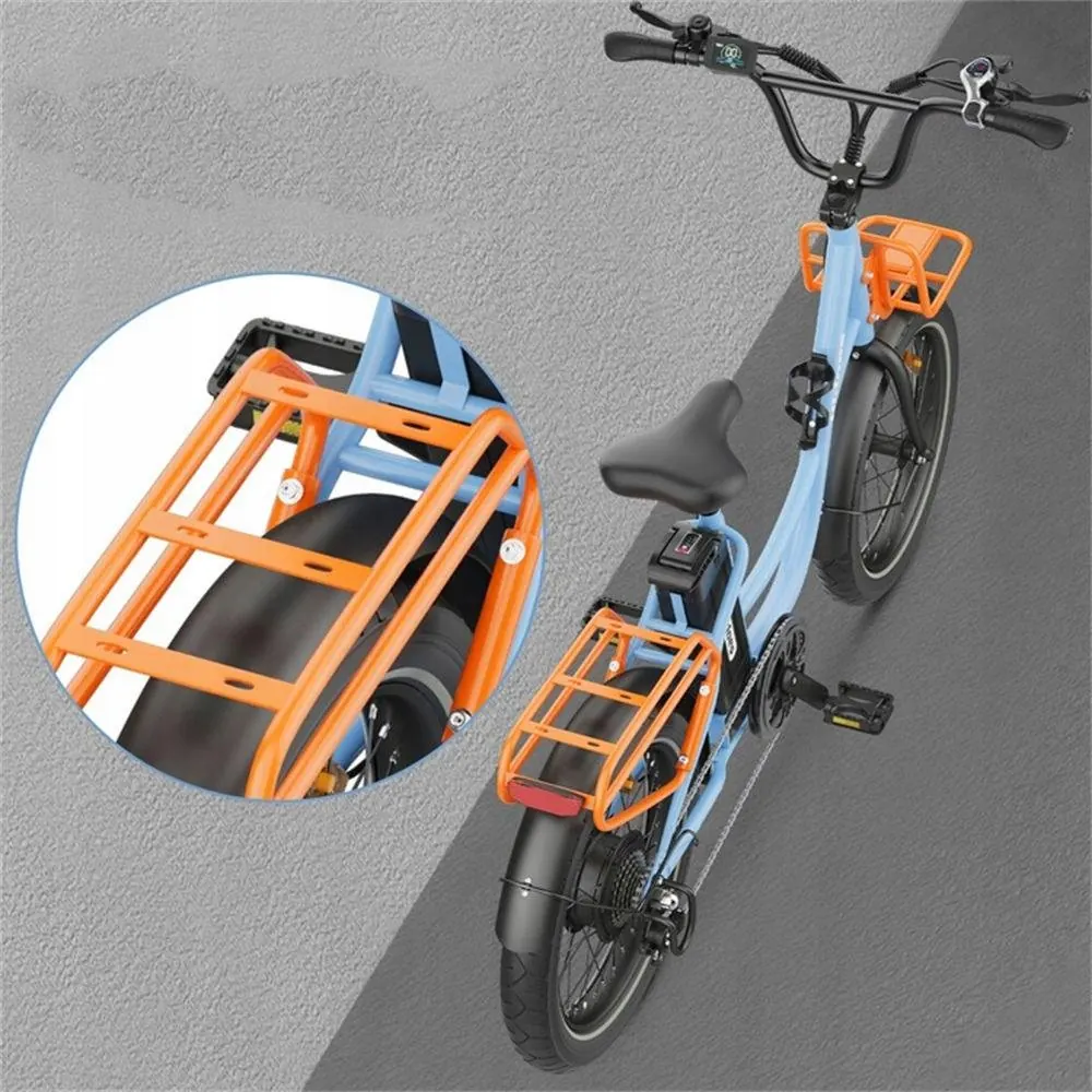 Roues 20 pouces du vélo électrique Hidoes C6 avec pneus larges