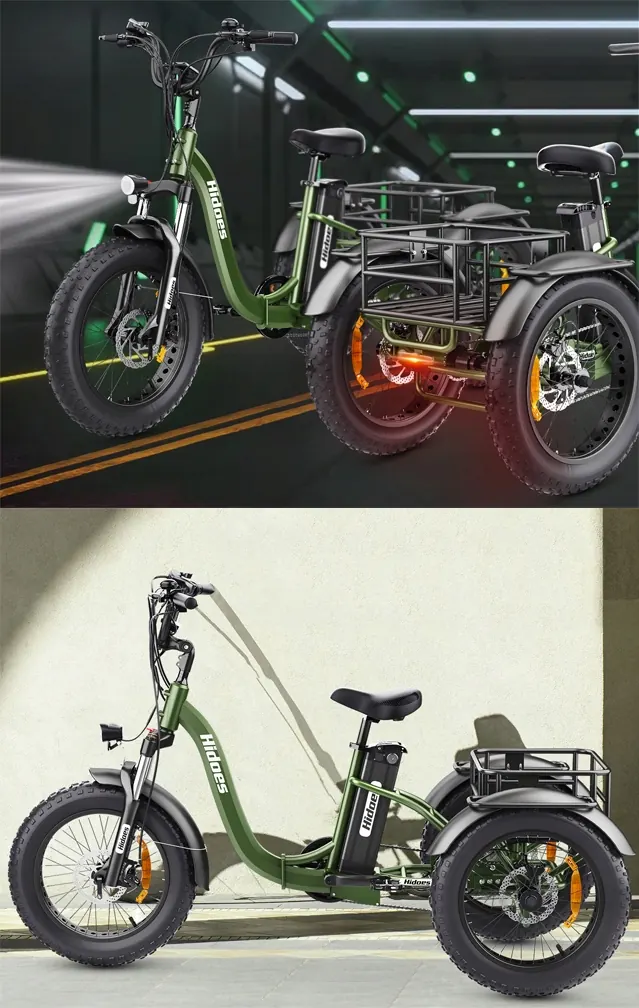 Hidoes HD-ET1 Vélo Électrique Tout-Terrain image 6