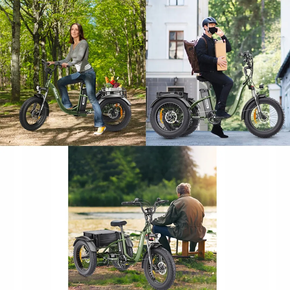 Vélo électrique tout-terrain Hidoes HD-ET1 750W avec pneus 20x4.0 et batterie 48V20Ah