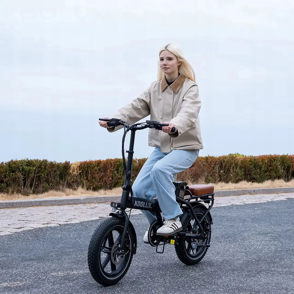 Cadre du KOOLUX X10 en matériau robuste pour vélo pliant électrique