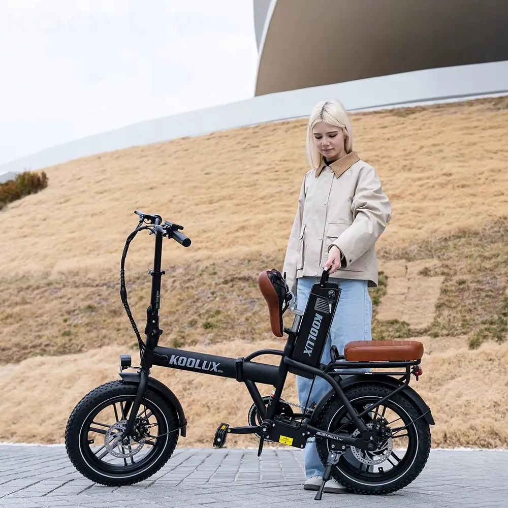 Roue de 16 pouces du KOOLUX X10 vélo électrique pliant