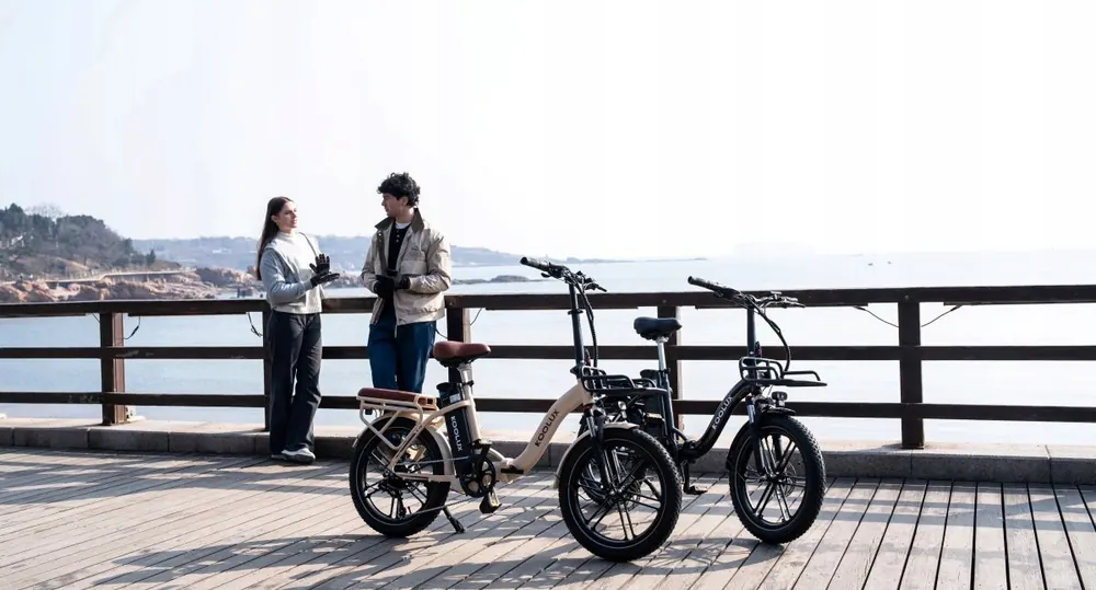 KOOLUX X16 Vélo Électrique Pliant image 15