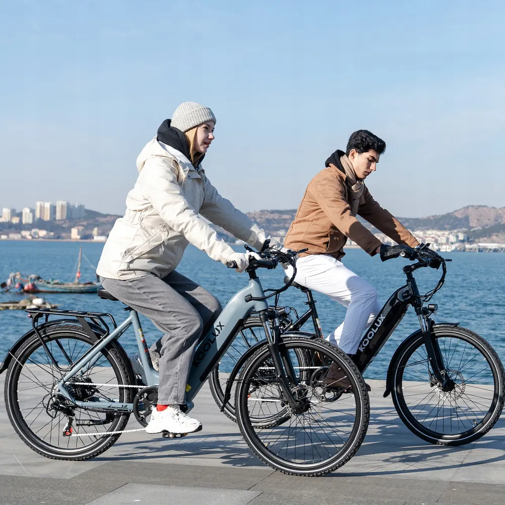 Vélo électrique KOOLUX X2 26 pouces gris avec batterie 48V 15Ah
