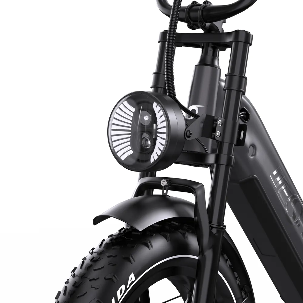 Roue 20 pouces du vélo électrique Onesport OT08 PRO double batterie