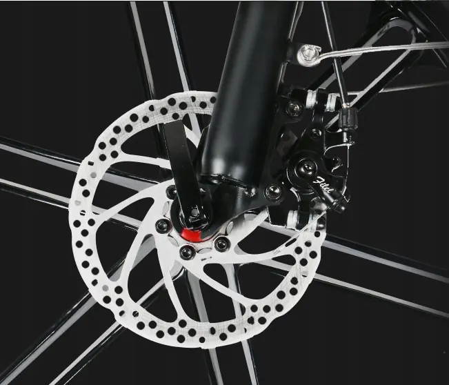 Modèle 20LVXD30-II du SAMEBIKE, vélo électrique pliant 48V 80km