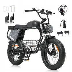 HIDOES B9 Fat Tire Électrique