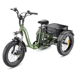 Hidoes HD-ET1 Vélo Électrique Tout-Terrain